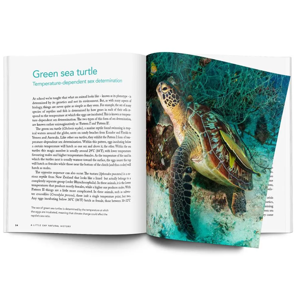 NHM Shop A Little Gay Natural History* Coffee-table Books | Science Books