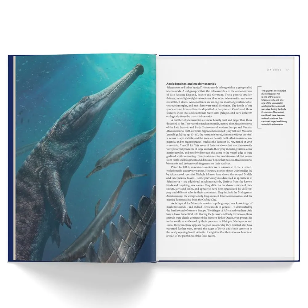 NHM Shop Ancient Sea Reptiles: Plesiosaurs, Ichthyosaurs, Mosasaurs & More* Coffee-table Books | Science Books