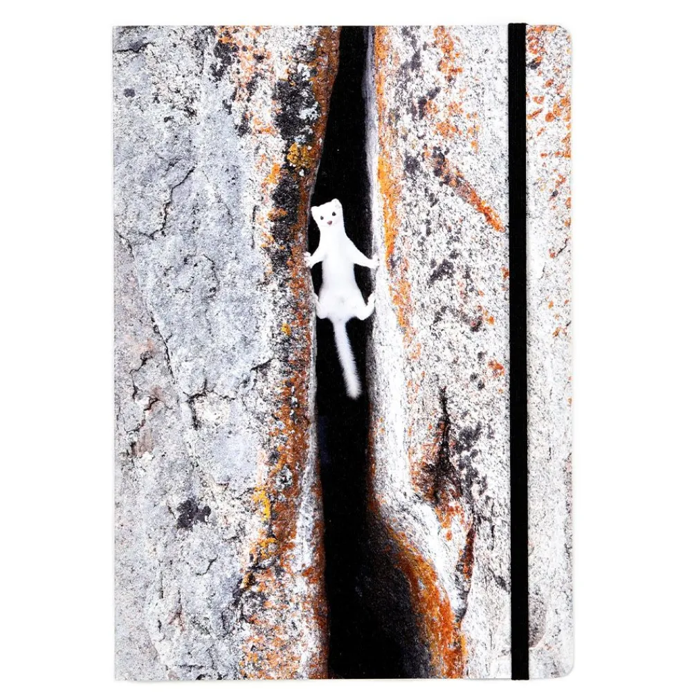 NHM Shop Between a Rock and a Hard Place Notebook: Wildlife Photographer of the Year 60* Stationery | Wildlife Photographer Of The Year