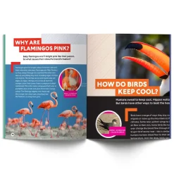 NHM Shop Can Jellyfish Live Forever?*Kids Science Books For Kids
