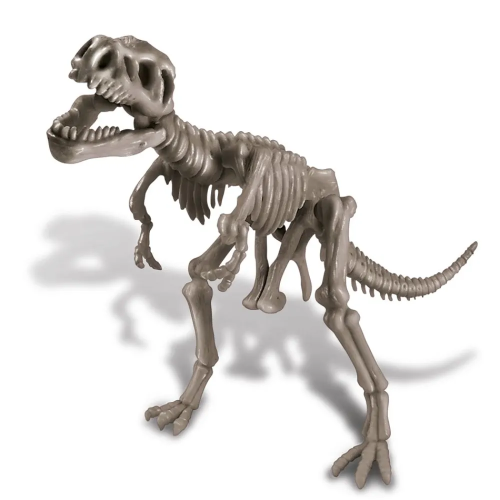 NHM Shop Dig a T. rex Skeleton Kit* Kits, Puzzles & Activities | Dinosaur Games & Activities