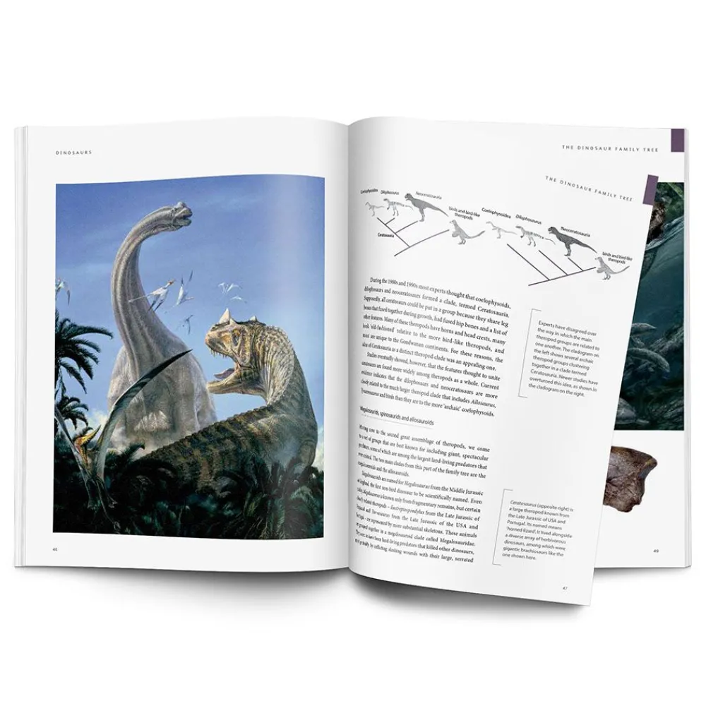 NHM Shop Dinosaurs: How They Lived and Evolved*Kids Science Books | Museum-related Books