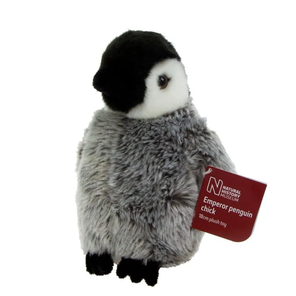 NHM Shop Emperor Penguin Chick Soft Toy* Soft Toys