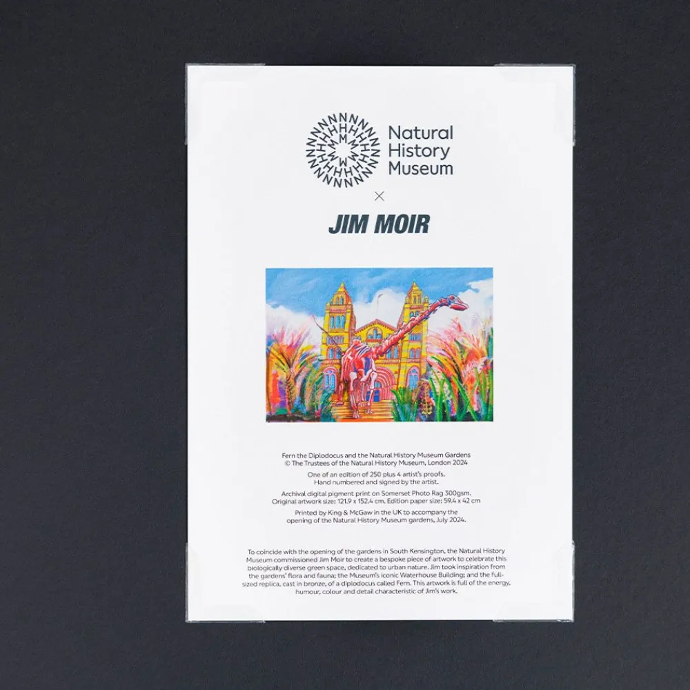 NHM Shop Fern Print by Jim Moir* Homeware & Decor | Father’s Day