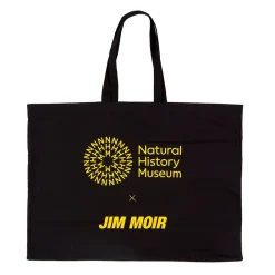 NHM Shop Fern Print by Jim Moir* Homeware & Decor | Father’s Day