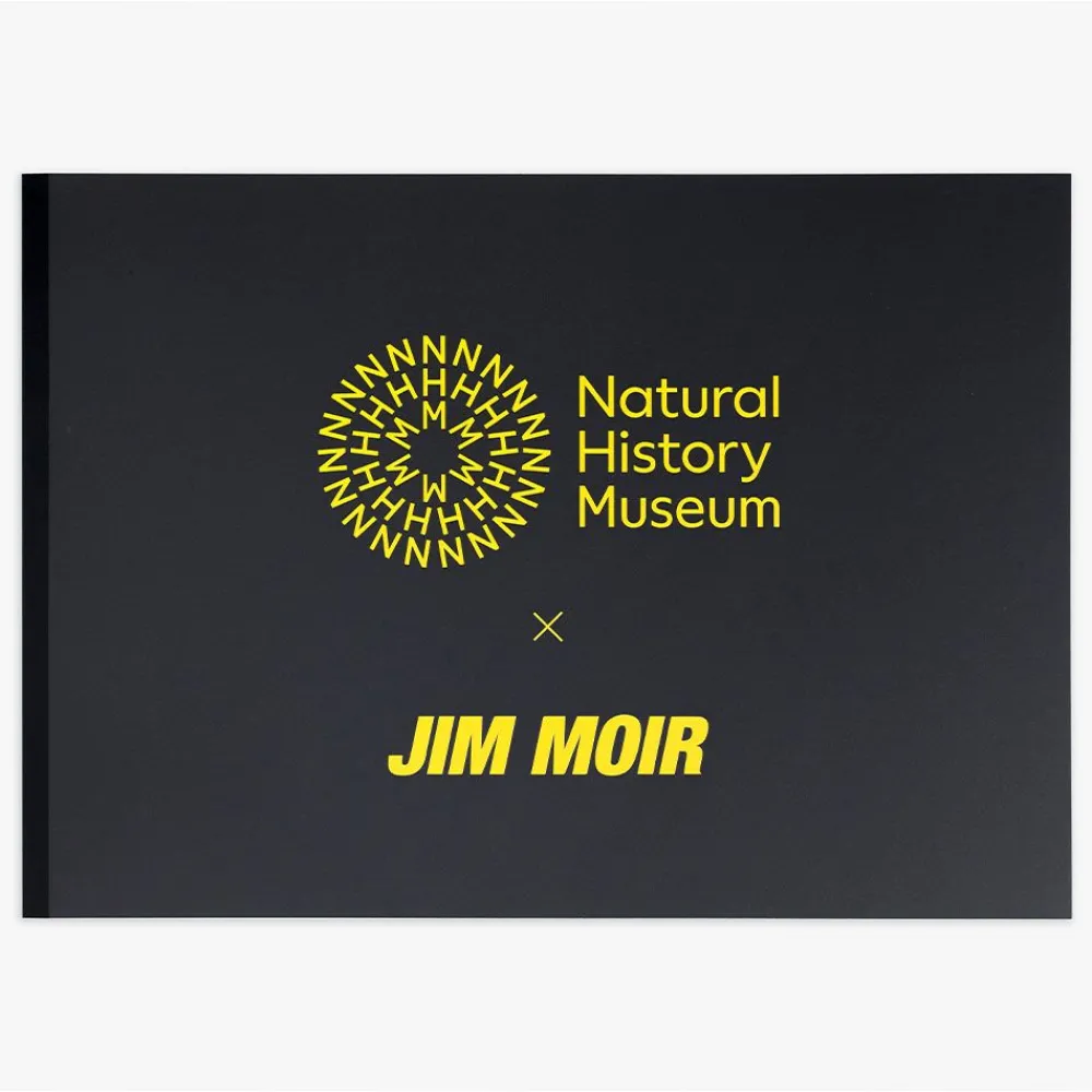 NHM Shop Fern Print by Jim Moir* Homeware & Decor | Father’s Day