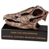 NHM Shop Fern the Diplodocus Replica Skull* Dinosaur Decor & Accessories | Father’s Day