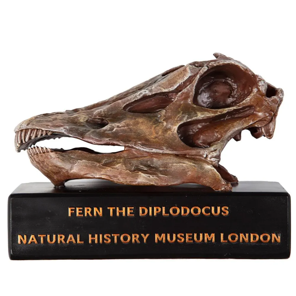 NHM Shop Fern the Diplodocus Replica Skull* Dinosaur Decor & Accessories | Father’s Day
