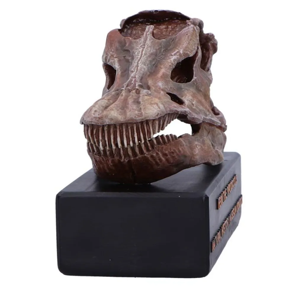NHM Shop Fern the Diplodocus Replica Skull* Dinosaur Decor & Accessories | Father’s Day