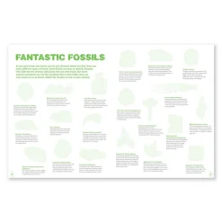 NHM Shop Fossils Sticker Book*Kids Activity Books For Kids