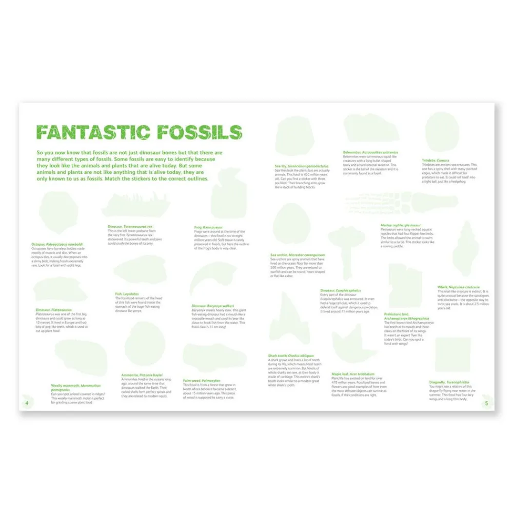 NHM Shop Fossils Sticker Book*Kids Activity Books For Kids
