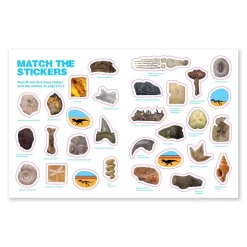 NHM Shop Fossils Sticker Book*Kids Activity Books For Kids