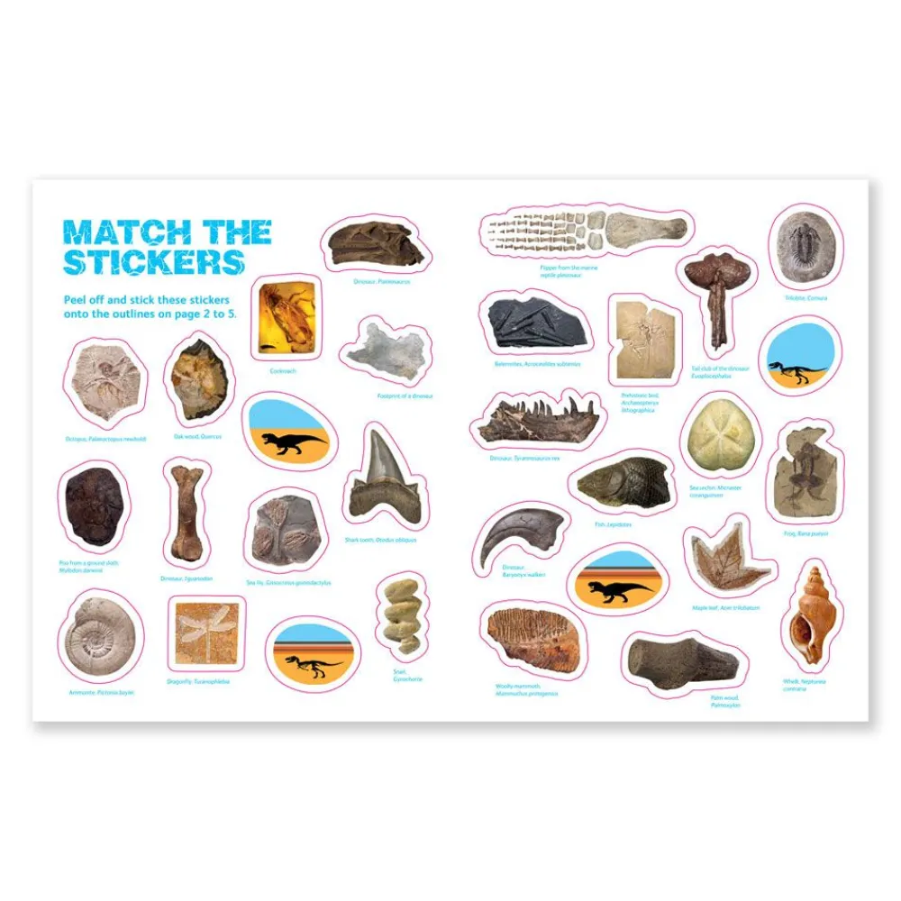 NHM Shop Fossils Sticker Book*Kids Activity Books For Kids