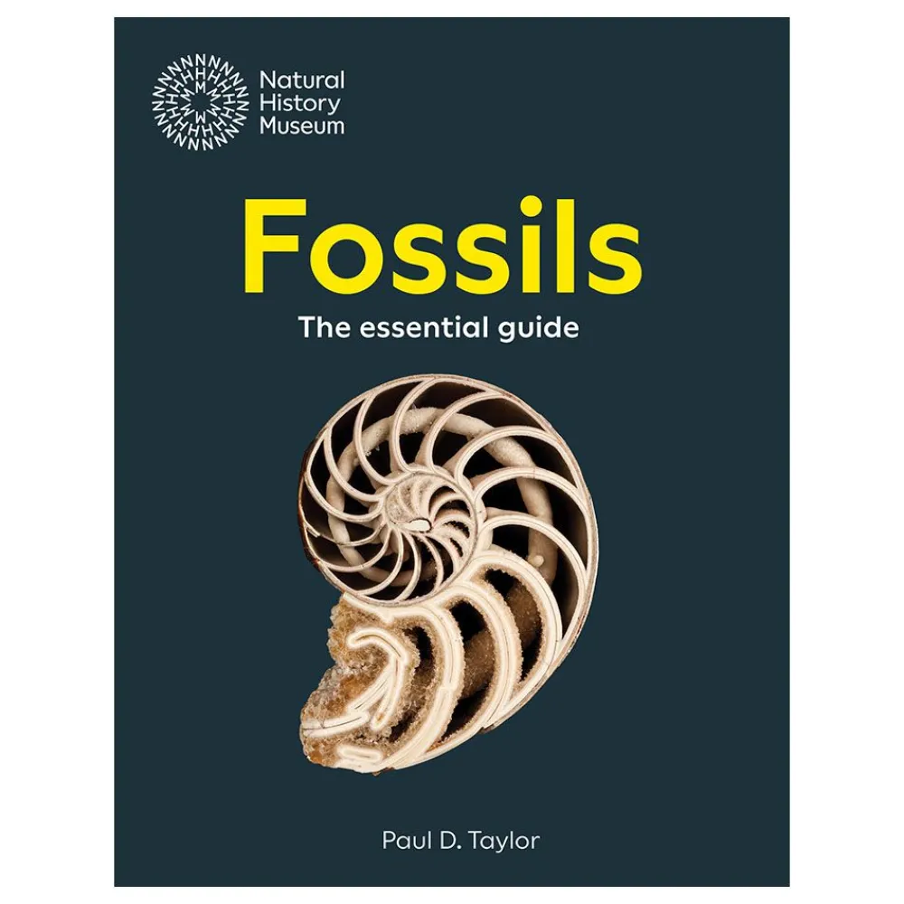 NHM Shop Fossils: The Essential Guide* Science Books | Museum-related Books