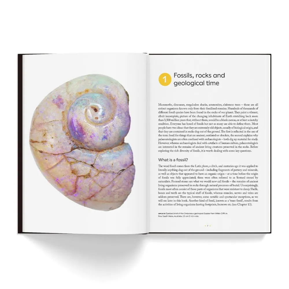 NHM Shop Fossils: The Essential Guide* Science Books | Museum-related Books