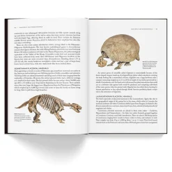 NHM Shop Fossils: The Essential Guide* Science Books | Museum-related Books