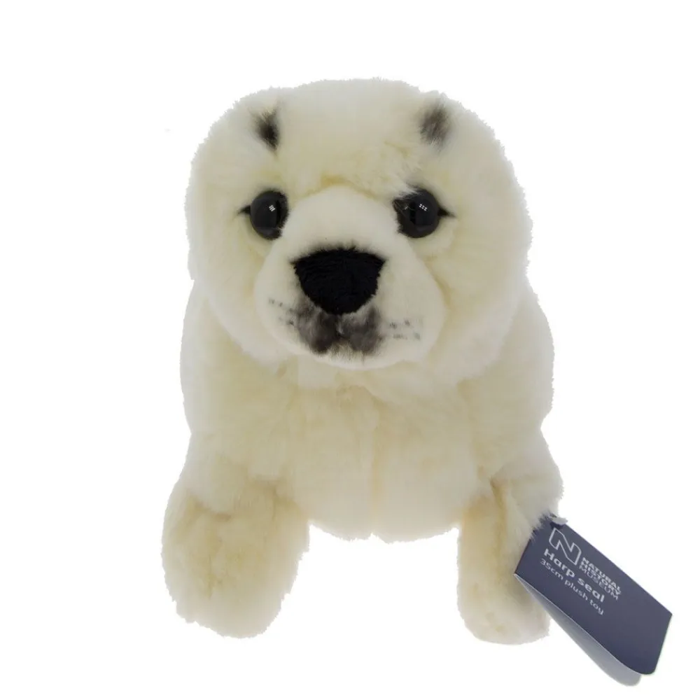 NHM Shop Harp Seal Soft Toy* Soft Toys