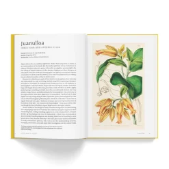 NHM Shop In the Name of Plants* Science Books | Museum-related Books