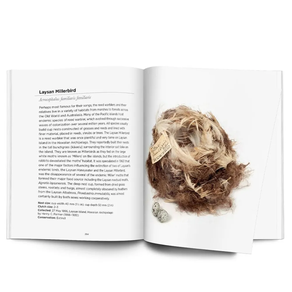 NHM Shop Interesting Bird Nests & Eggs* Science Books | Museum-related Books