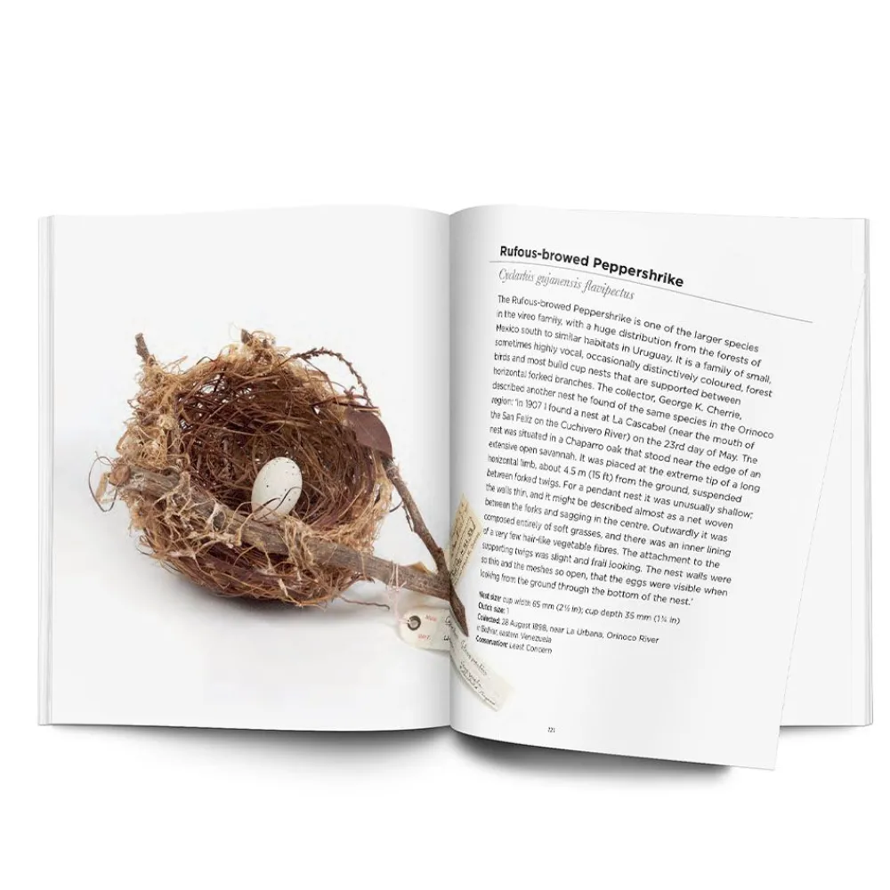 NHM Shop Interesting Bird Nests & Eggs* Science Books | Museum-related Books