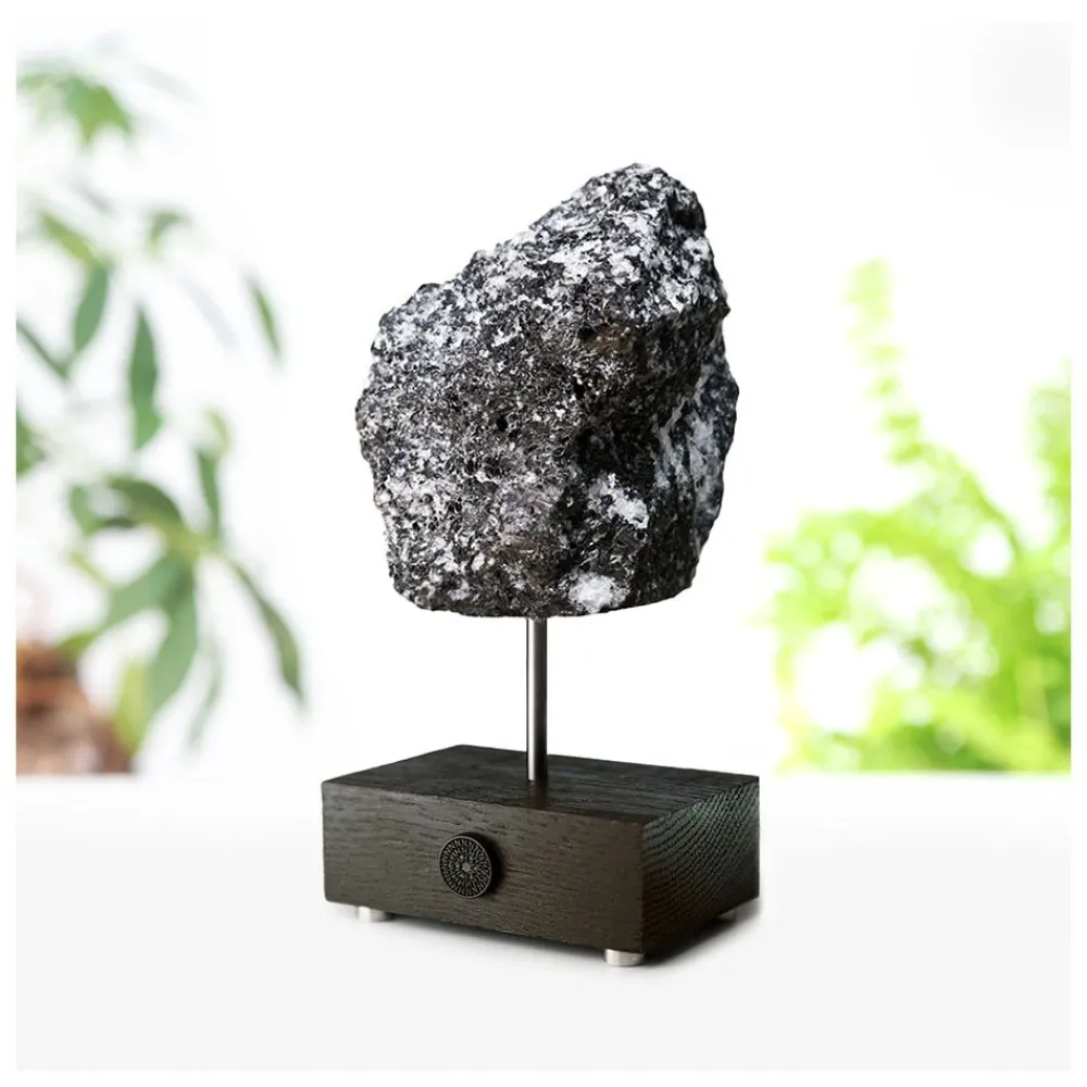 NHM Shop Lewisian Gneiss Geology Specimen on a Stand* Homeware & Decor | Father’s Day