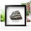 NHM Shop Lewisian Gneiss Geology Specimen in a Box Frame* Homeware & Decor | Father’s Day