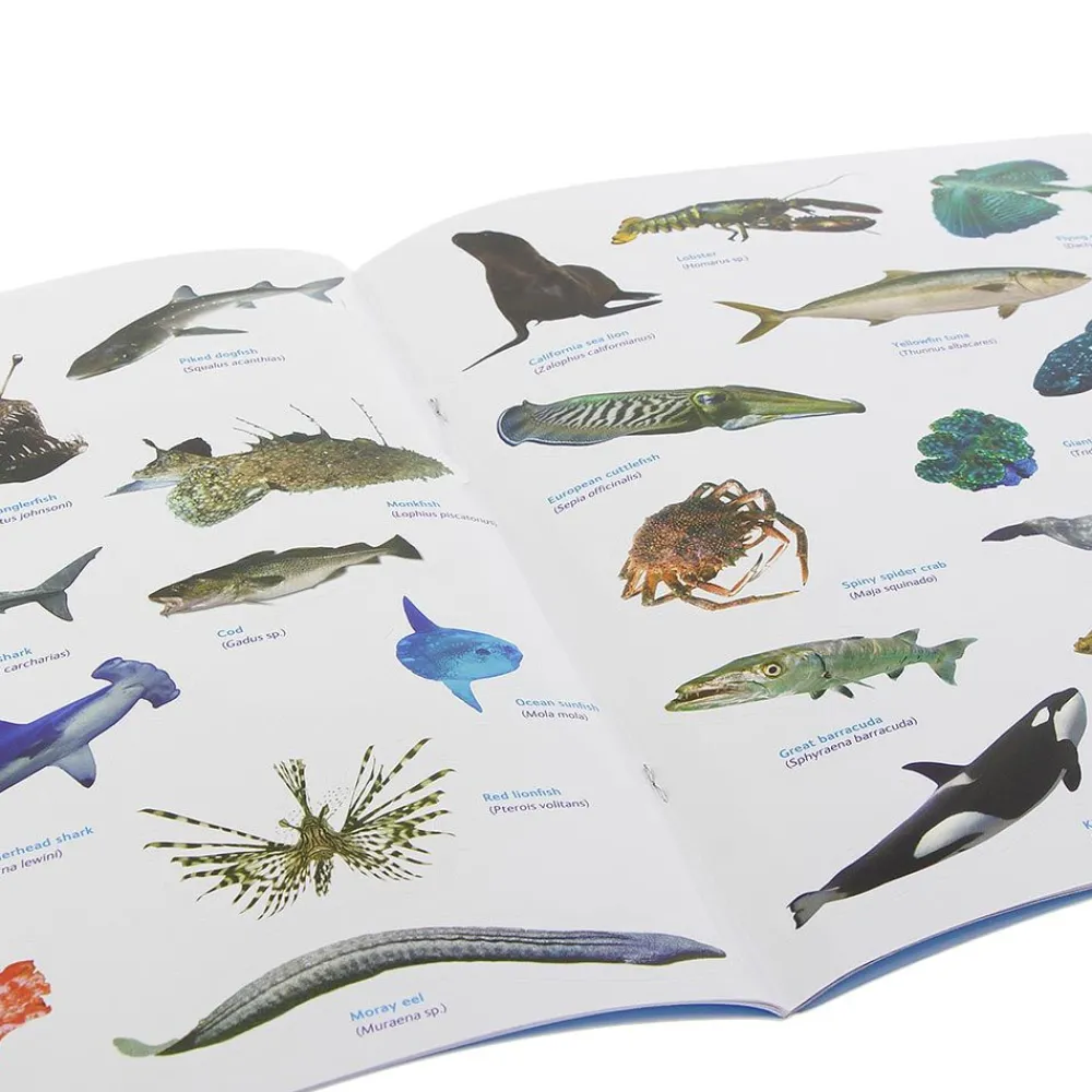 NHM Shop Ocean Sticker Book*Kids Activity Books For Kids