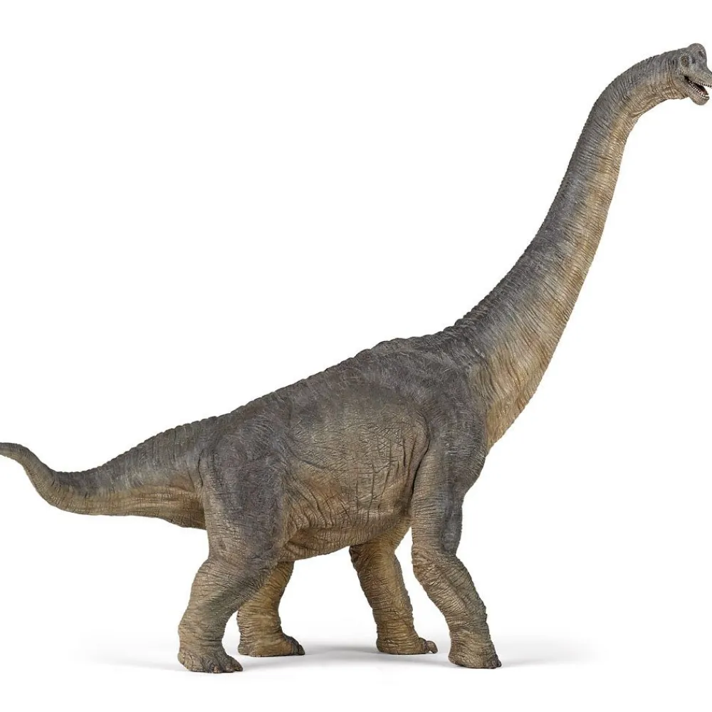 NHM Shop Papo Brachiosaurus Model* Toys | Dinosaur Toys