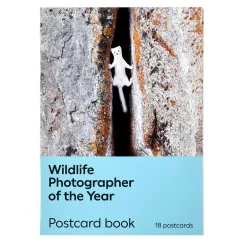 NHM Shop Postcard Book: Wildlife Photographer of the Year 60* Stationery | Wildlife Photographer Of The Year