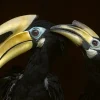 NHM Shop Preening Hornbills Wall Print* Current Wildlife Photographer Of The Year | Wildlife Photographer Of The Year