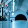NHM Shop Station Squabble Wall Print* Previous Wildlife Photographer Of The Year