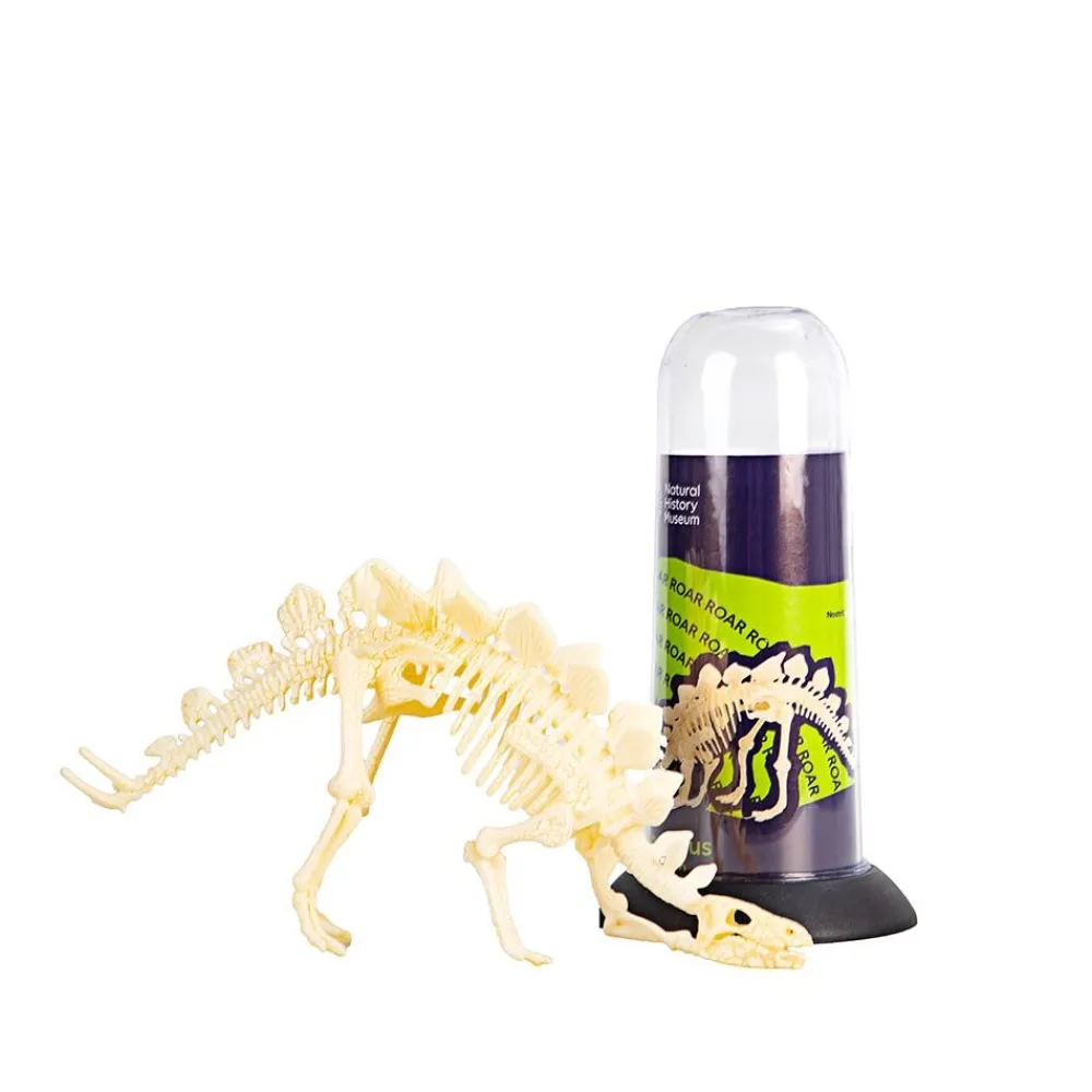 NHM Shop Stegosaurus Fossil Skeleton* Kits, Puzzles & Activities | Dinosaur Games & Activities