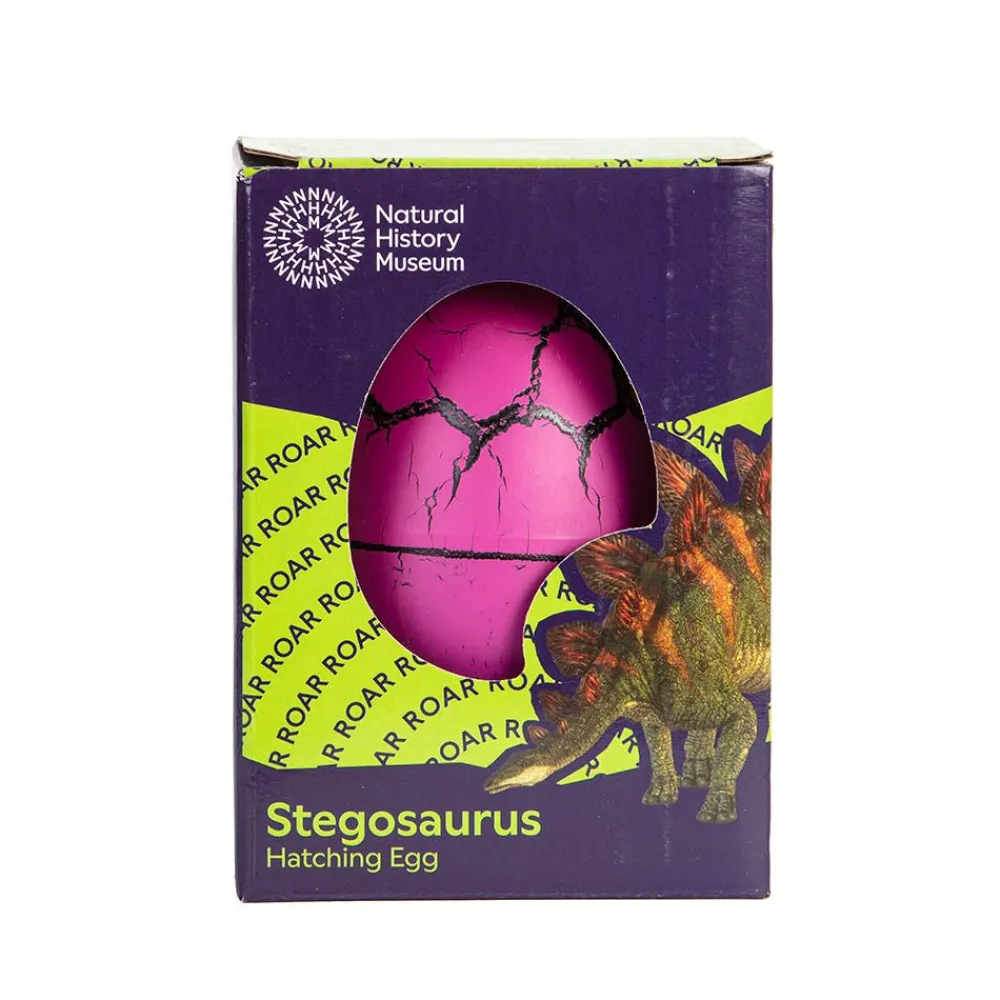 NHM Shop Stegosaurus Hatching Egg in a Box*Kids Toys | Dinosaur Toys