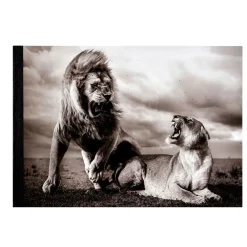NHM Shop Stormy Scene Sketchpad: Wildlife Photographer of the Year 60* Stationery | Wildlife Photographer Of The Year
