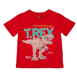 NHM Shop T. rex Facts T-shirt for Kids*Kids Clothing For Kids