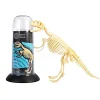 NHM Shop T. rex Fossil Skeleton* Kits, Puzzles & Activities | Dinosaur Games & Activities