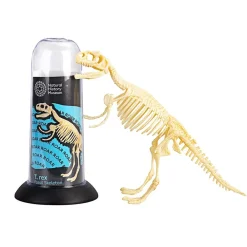 NHM Shop T. rex Fossil Skeleton* Kits, Puzzles & Activities | Dinosaur Games & Activities