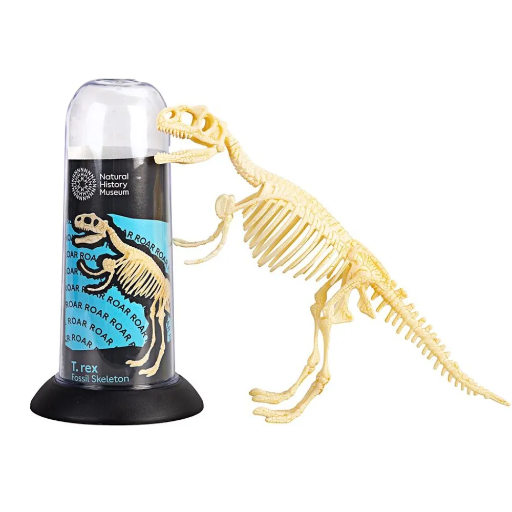 NHM Shop T. rex Fossil Skeleton* Kits, Puzzles & Activities | Dinosaur Games & Activities