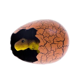 NHM Shop T. rex Hatching Egg in a Box*Kids Toys | Dinosaur Toys