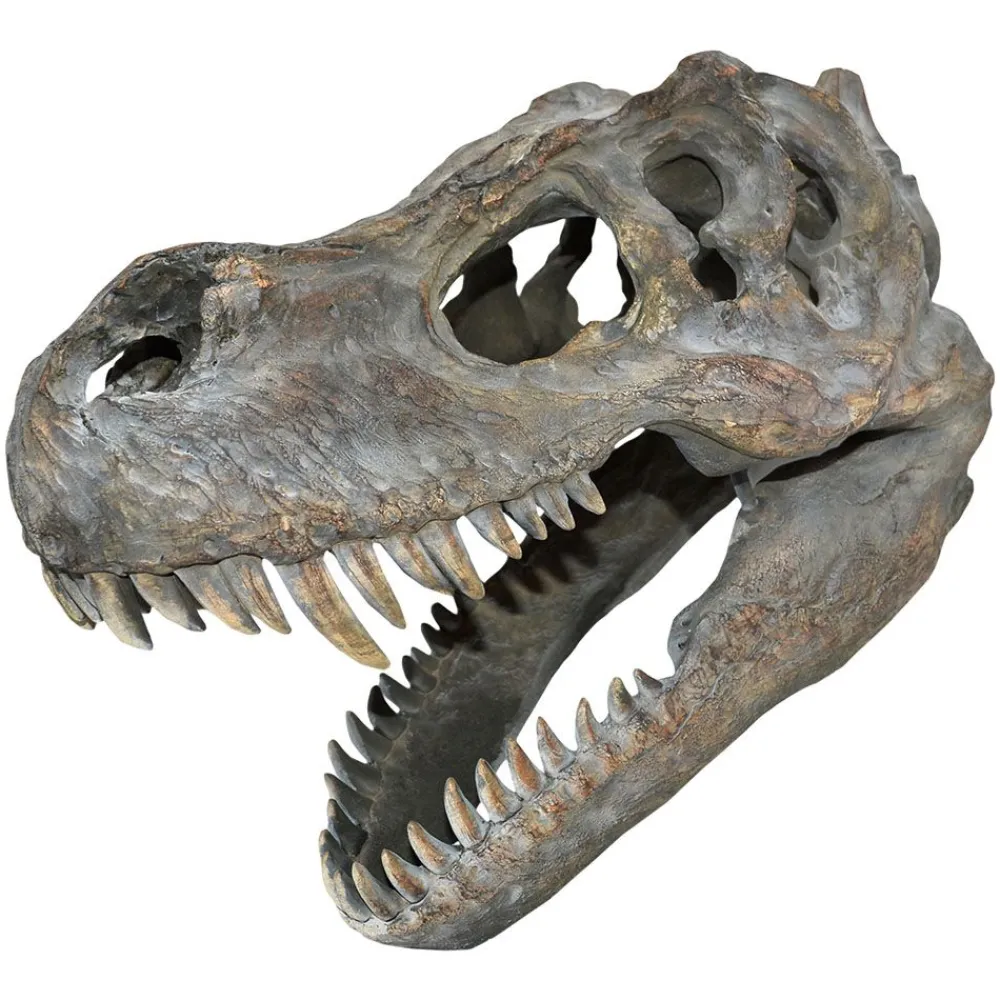 NHM Shop T. rex Large Replica Skull* Homeware & Decor | Father’s Day