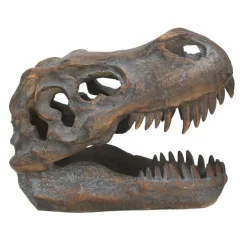 NHM Shop T. rex Small Replica Skull* Homeware & Decor | Dinosaur Decor & Accessories