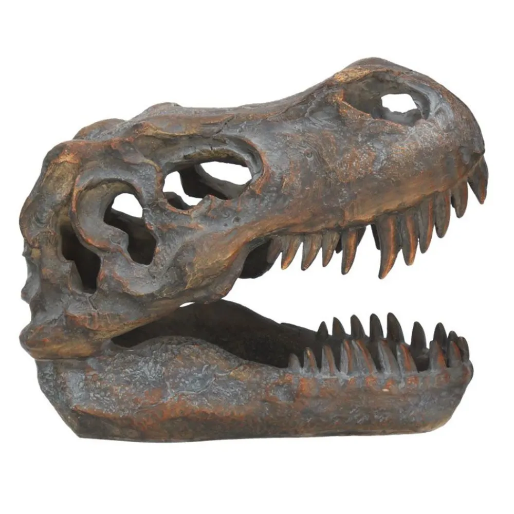 NHM Shop T. rex Small Replica Skull* Homeware & Decor | Dinosaur Decor & Accessories