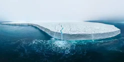 NHM Shop The Disappearing Ice Cap Wall Print* Current Wildlife Photographer Of The Year | Wildlife Photographer Of The Year