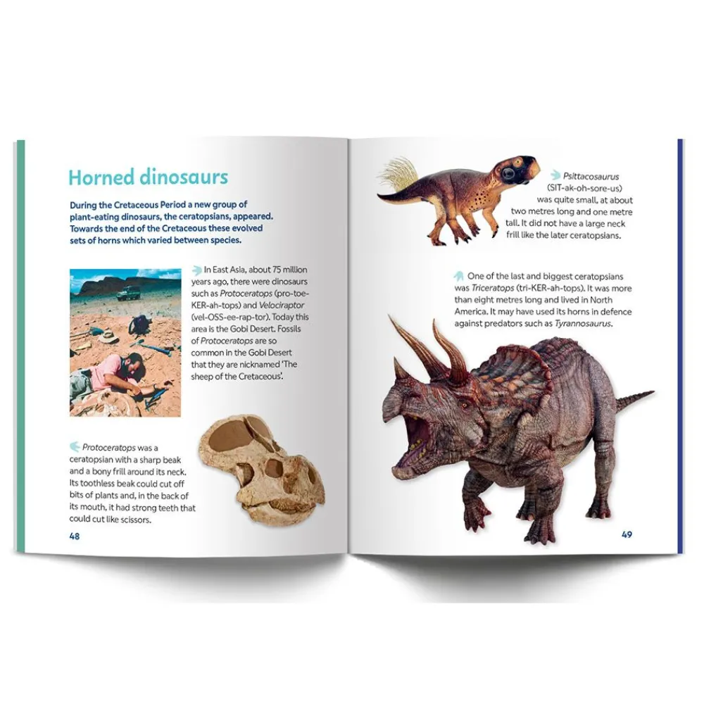 NHM Shop The Story of the Dinosaurs*Kids Dinosaur Games & Activities | Dinosaur Books For Kids