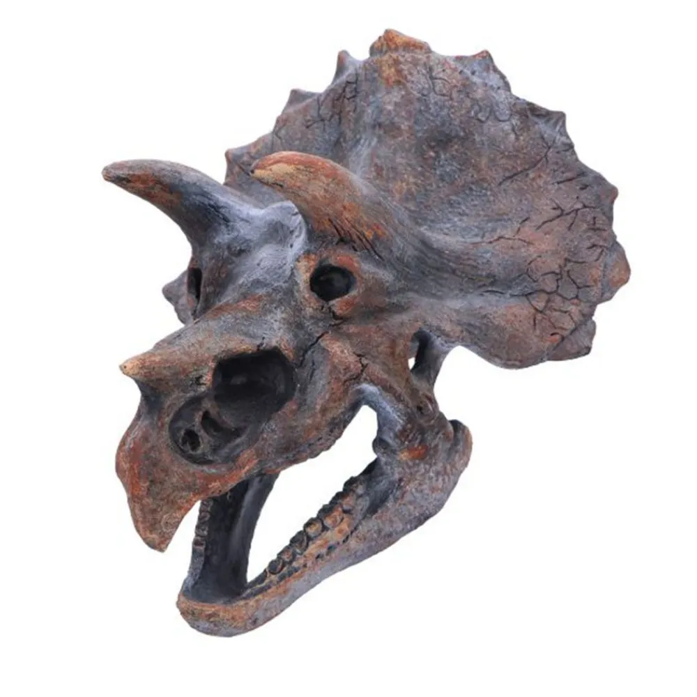 NHM Shop Triceratops Replica Skull* Homeware & Decor | Dinosaur Decor & Accessories