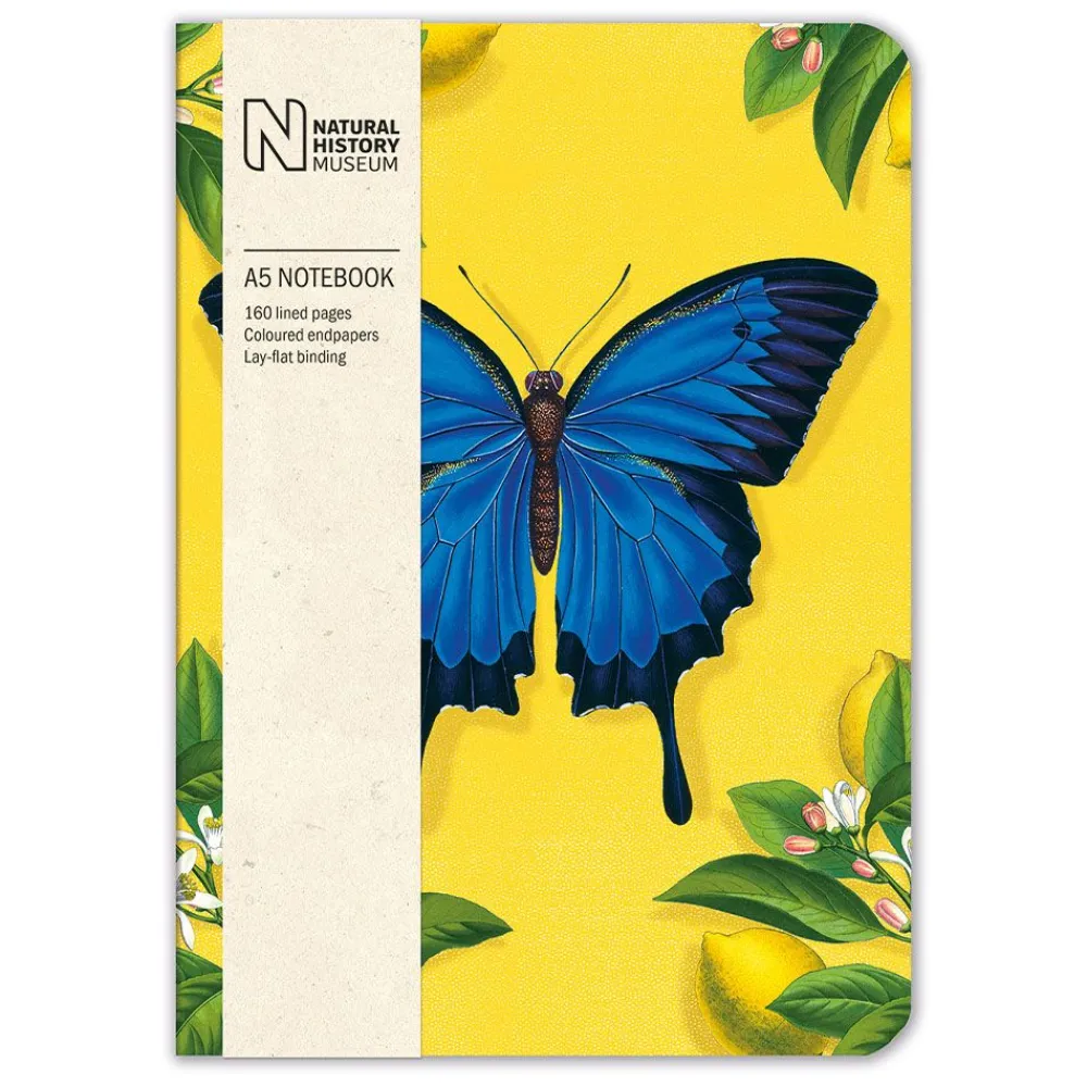 NHM Shop Ulysses Butterfly Notebook* Stationery