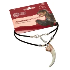NHM Shop Velociraptor Claw Necklace*Kids Jewellery | Costumes For Kids