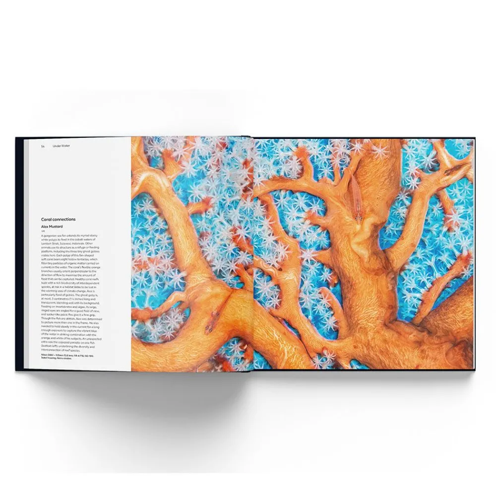 NHM Shop Wildlife Photographer of the Year Portfolio 33* Museum-related Books