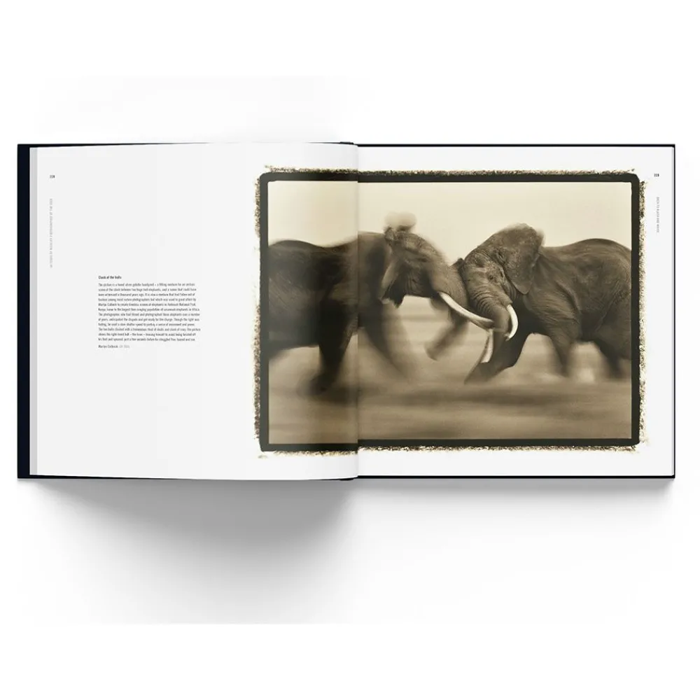 NHM Shop 60 Years of Wildlife Photographer of the Year* Museum-related Books | Father’s Day